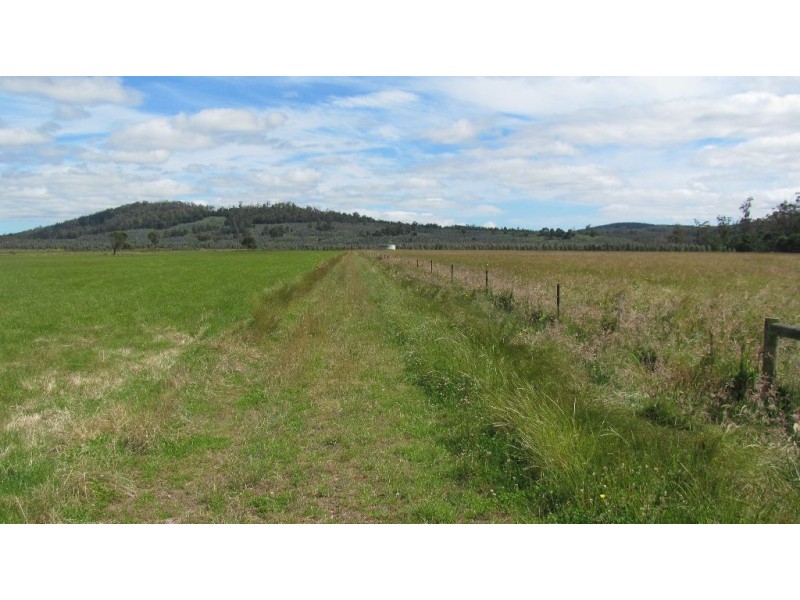 0 Shaw Road, Parkham TAS 7304