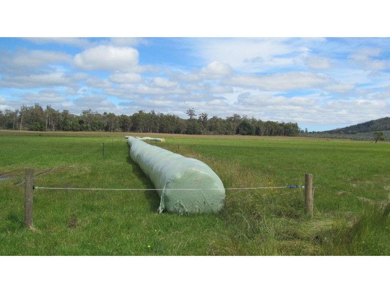 0 Shaw Road, Parkham TAS 7304