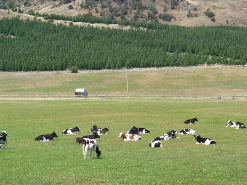 Berkley Farm, Tor Hill Road, Ouse TAS 7140