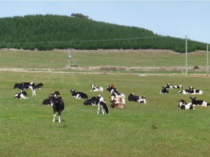 Berkley Farm, Tor Hill Road, Ouse TAS 7140