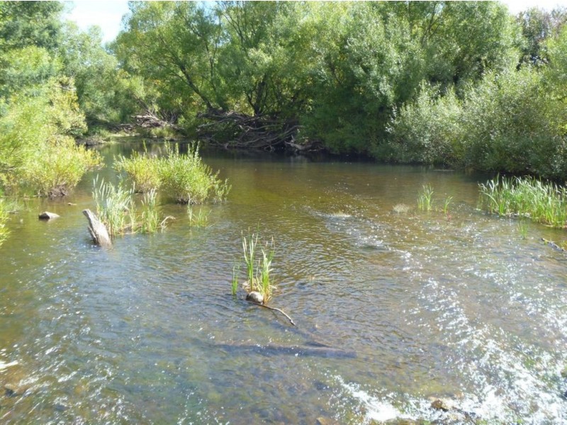 Berkley Farm, Tor Hill Road, Ouse TAS 7140