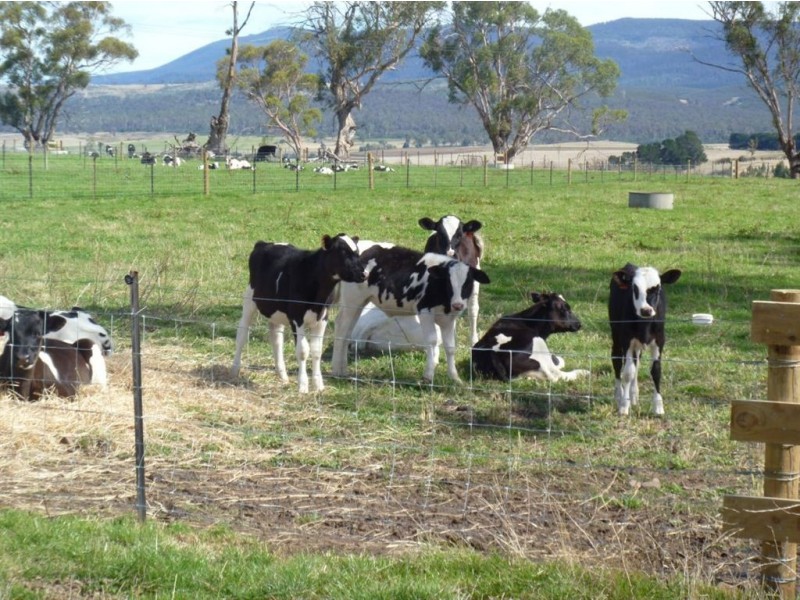 Berkley Farm, Tor Hill Road, Ouse TAS 7140