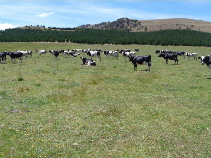 Berkley Farm, Tor Hill Road, Ouse TAS 7140