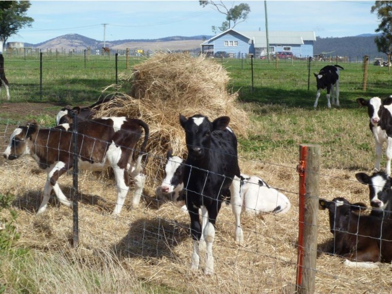 Berkley Farm, Tor Hill Road, Ouse TAS 7140