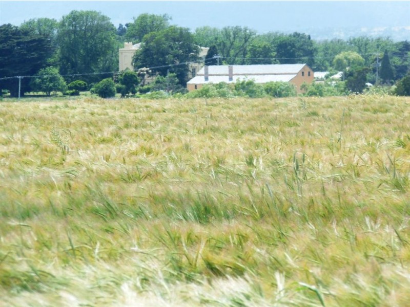 15046 Midland Highway, Perth TAS 7300