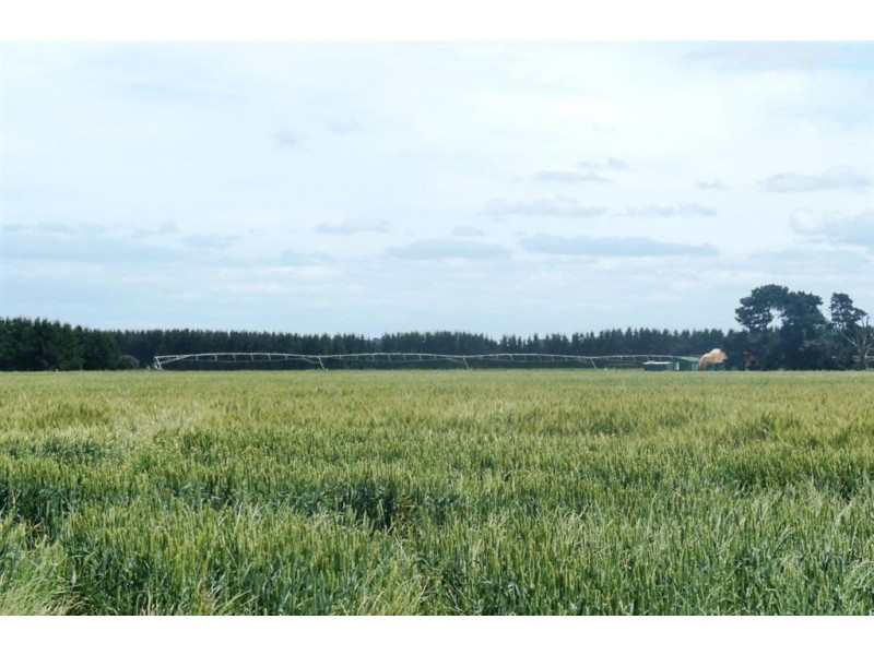 15046 Midland Highway, Perth TAS 7300