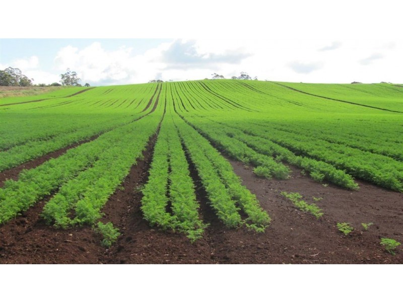 1178 Sheffield Road, Lower Barrington TAS 7306