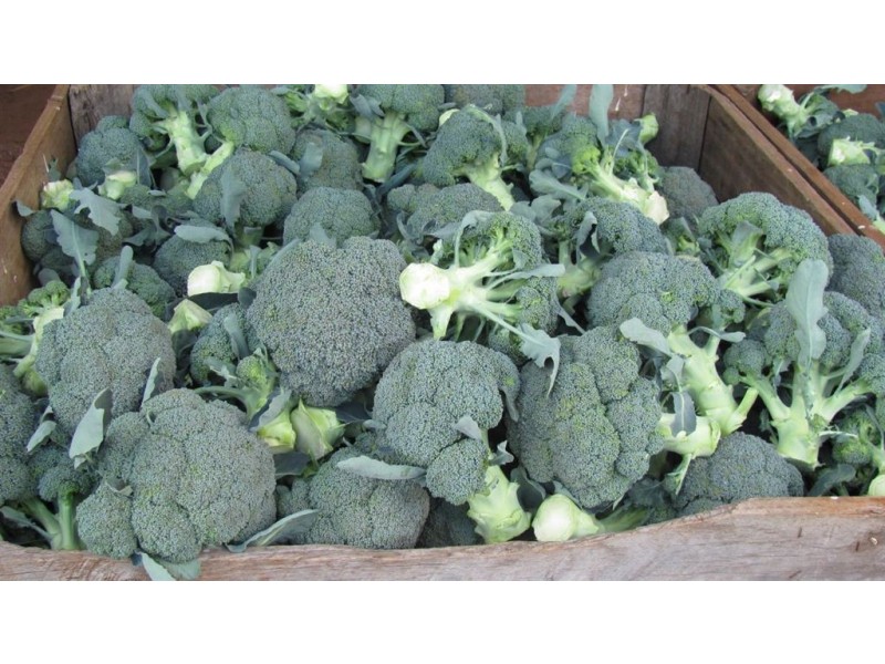 1178 Sheffield Road, Lower Barrington TAS 7306