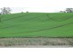 1178 Sheffield Road, Lower Barrington TAS 7306