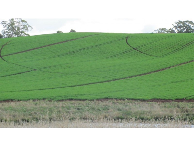 1178 Sheffield Road, Lower Barrington TAS 7306