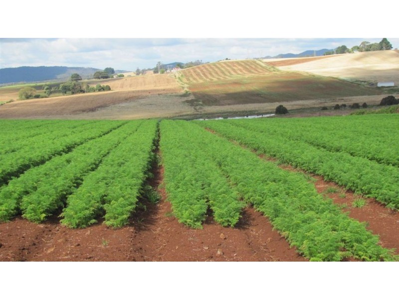 1178 Sheffield Road, Lower Barrington TAS 7306