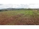 1178 Sheffield Road, Lower Barrington TAS 7306