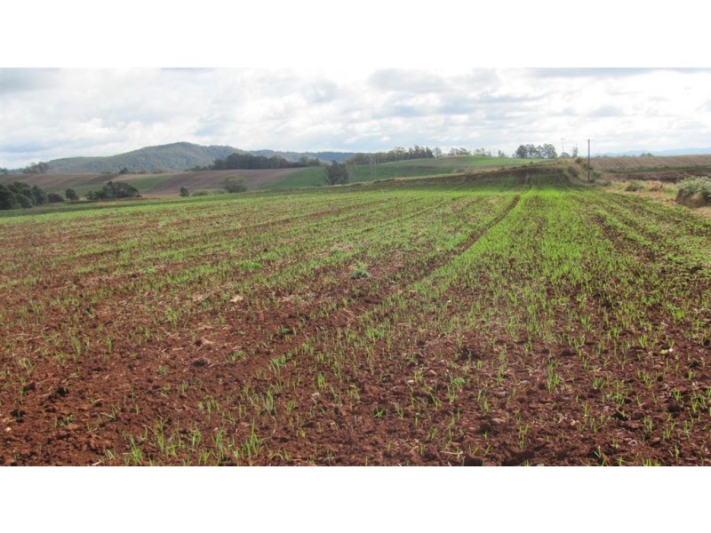 1178 Sheffield Road, Lower Barrington TAS 7306