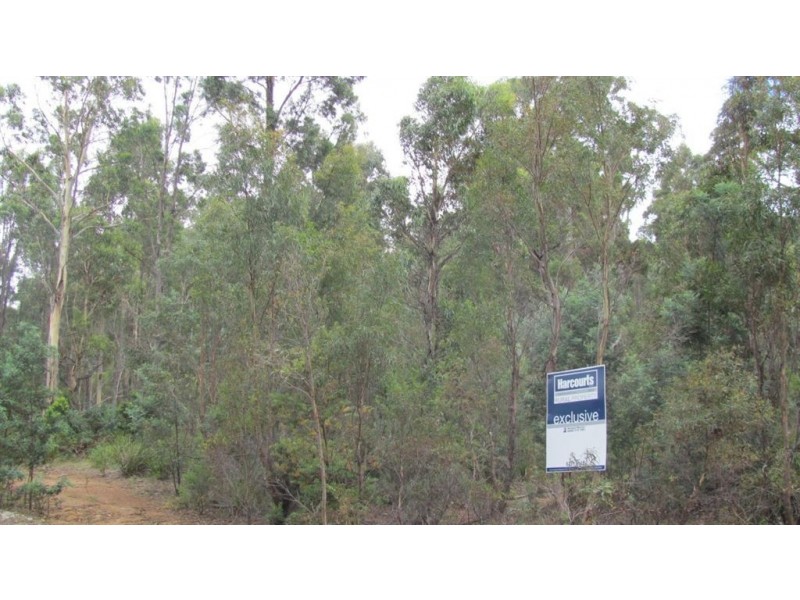 240 Prossers Road, Nunamara TAS 7259