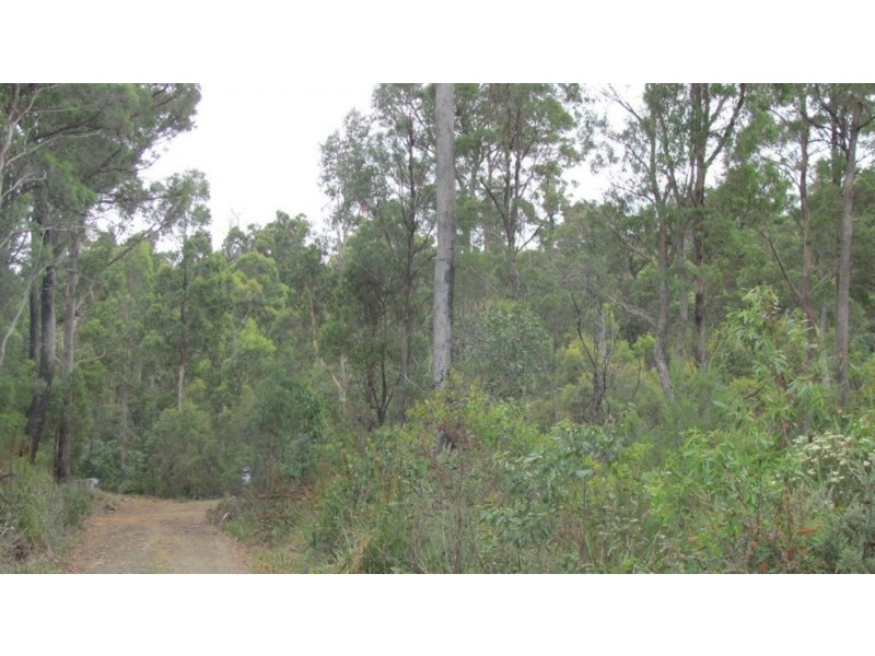 240 Prossers Road, Nunamara TAS 7259