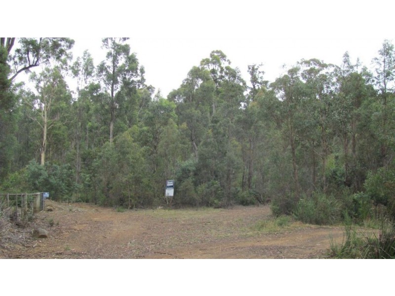 240 Prossers Road, Nunamara TAS 7259