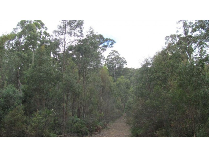 240 Prossers Road, Nunamara TAS 7259