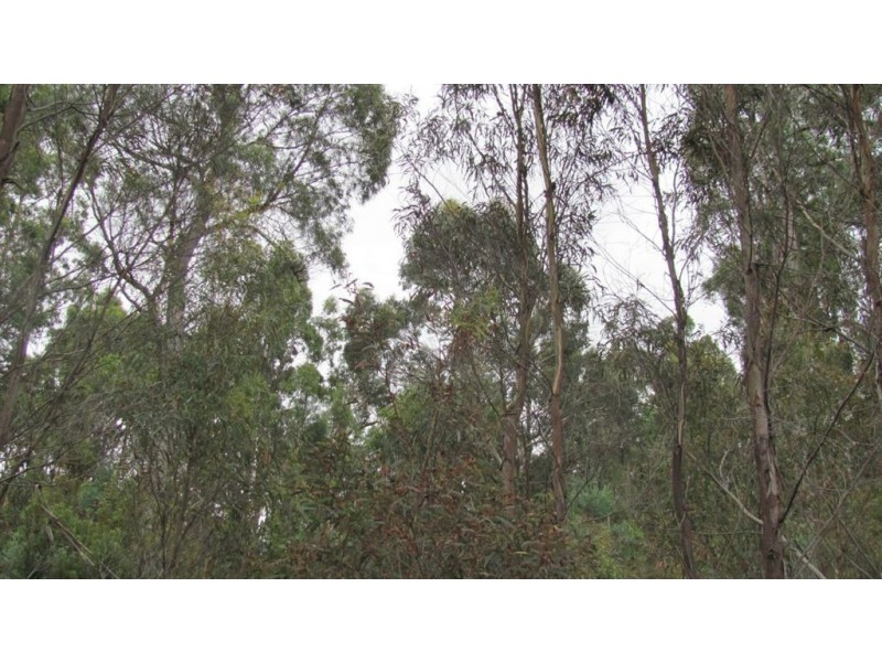 240 Prossers Road, Nunamara TAS 7259