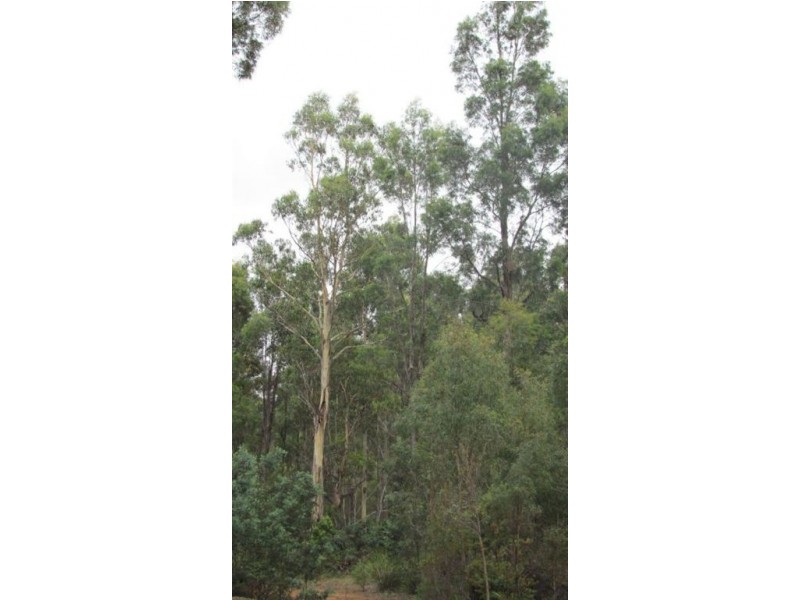 240 Prossers Road, Nunamara TAS 7259