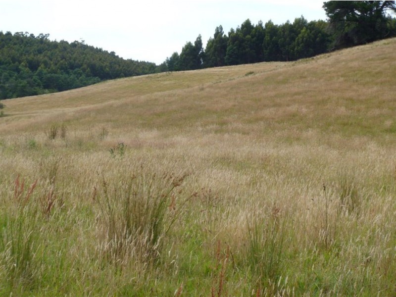 ‘East Stanmore Hill’ Huon Highway, Dover TAS 7117