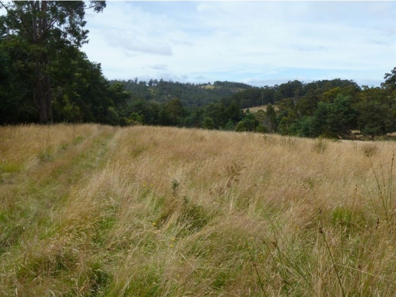 ‘East Stanmore Hill’ Huon Highway, Dover TAS 7117