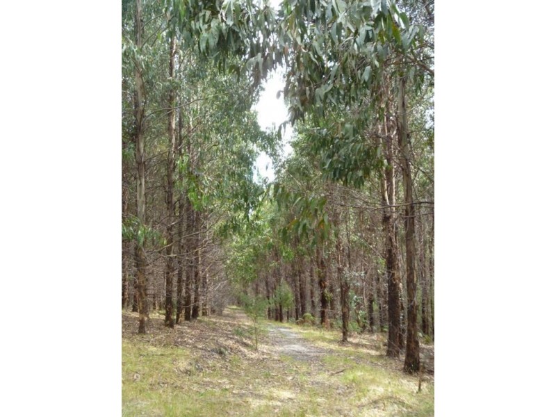 ‘East Stanmore Hill’ Huon Highway, Dover TAS 7117
