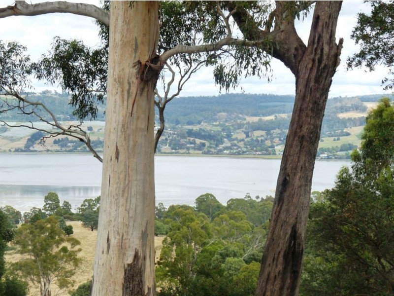 1673-1699 East Tamar Highway, Dilston TAS 7252