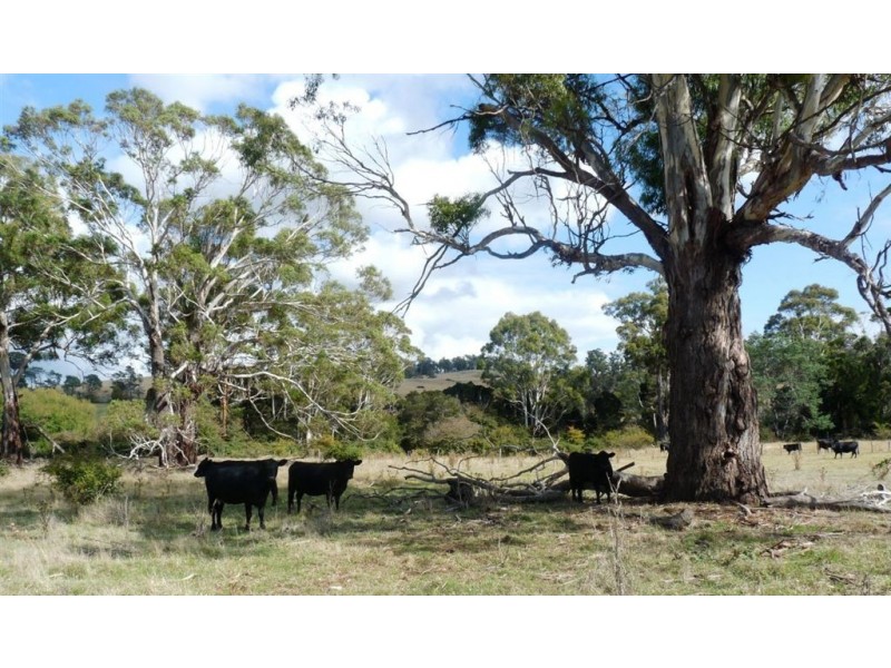 1673-1699 East Tamar Highway, Dilston TAS 7252