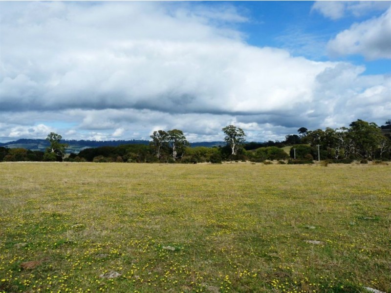 1673-1699 East Tamar Highway, Dilston TAS 7252