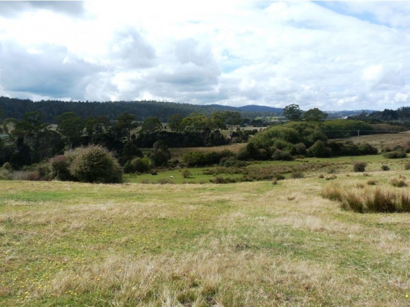 1673-1699 East Tamar Highway, Dilston TAS 7252