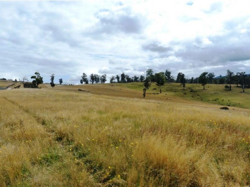 1673-1699 East Tamar Highway, Dilston TAS 7252