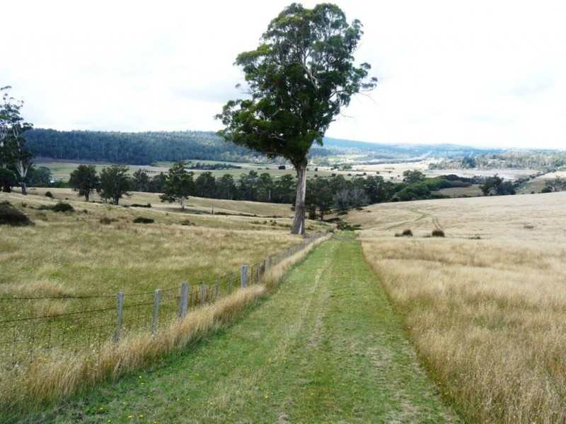 1673-1699 East Tamar Highway, Dilston TAS 7252