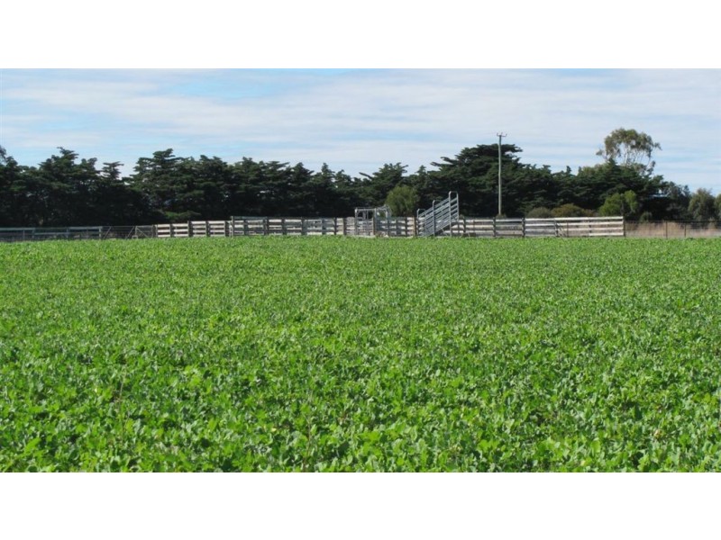 155 Belle Vue Road, Epping Forest TAS 7211