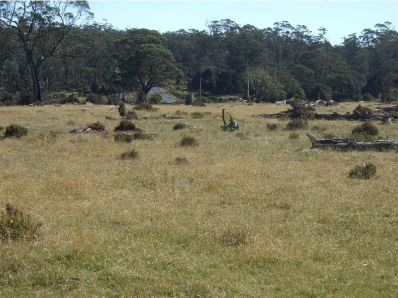 2629 Cradle Mountain Road, Cradle Mountain TAS 7306