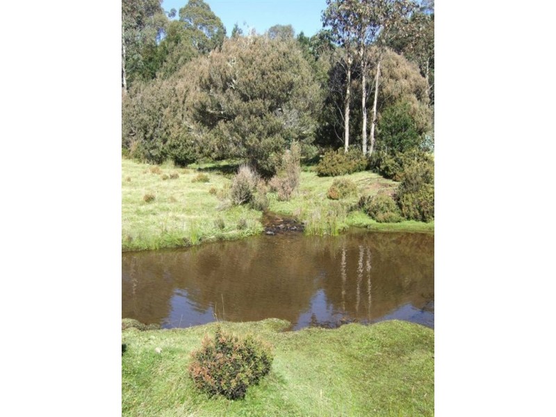 2629 Cradle Mountain Road, Cradle Mountain TAS 7306
