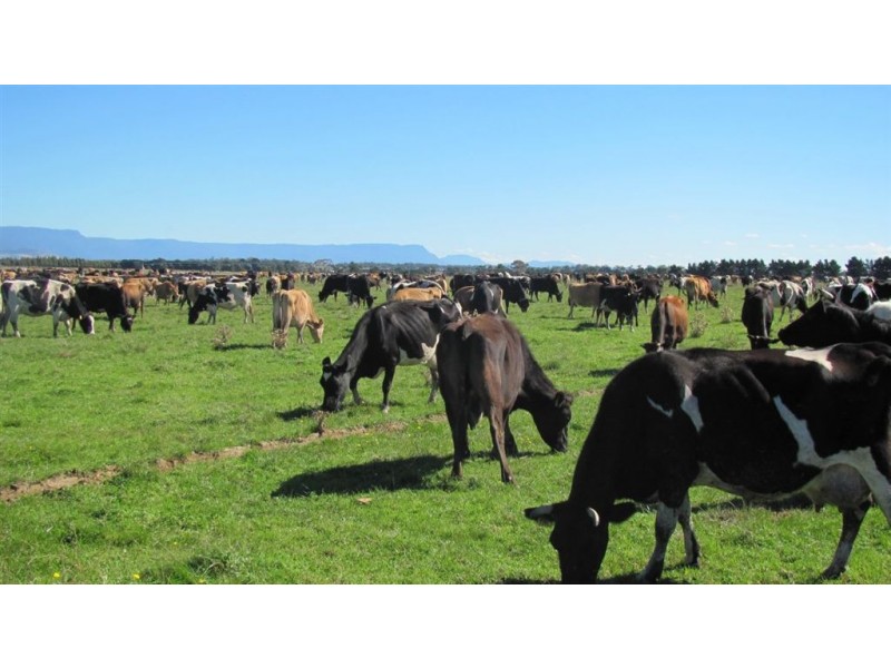 Quarry Hill, Valley Field Road, Campbell Town TAS 7210