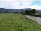 1037 Dairy Plains Road, Western Creek TAS 7304