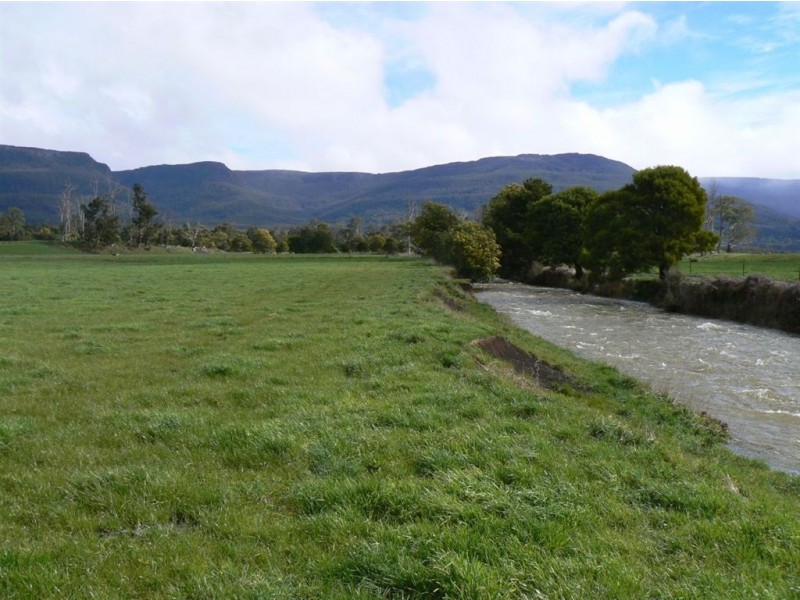 1037 Dairy Plains Road, Western Creek TAS 7304