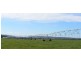 1037 Dairy Plains Road, Western Creek TAS 7304