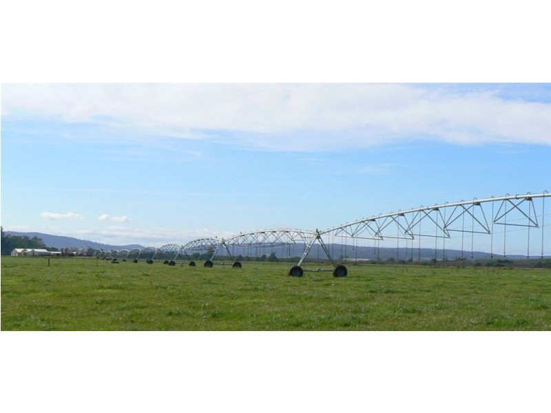 1037 Dairy Plains Road, Western Creek TAS 7304