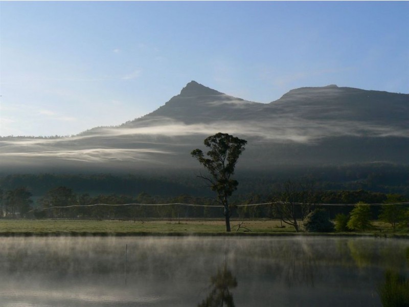 1037 Dairy Plains Road, Western Creek TAS 7304