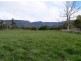 1037 Dairy Plains Road, Western Creek TAS 7304