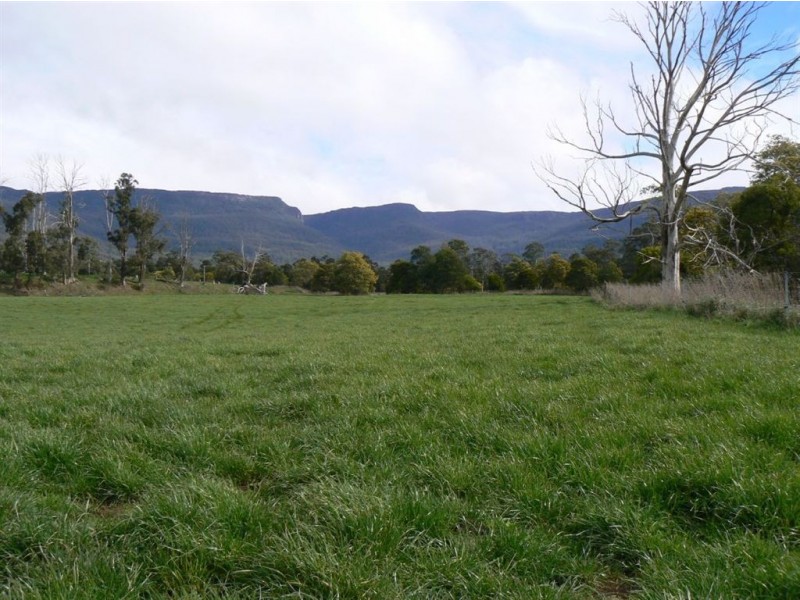 1037 Dairy Plains Road, Western Creek TAS 7304