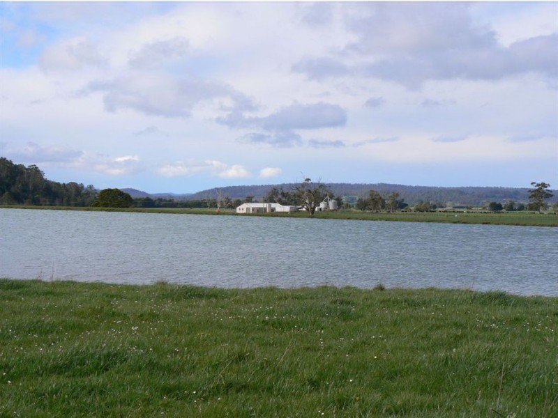 1037 Dairy Plains Road, Western Creek TAS 7304