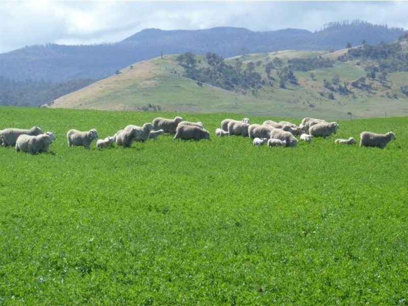 3400 Lyell Highway, Gretna TAS 7140