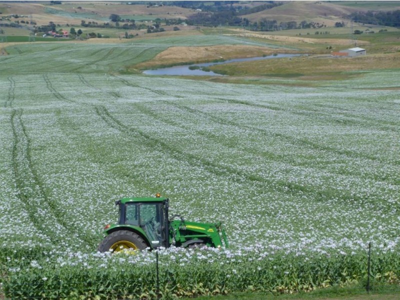 3400 Lyell Highway, Gretna TAS 7140