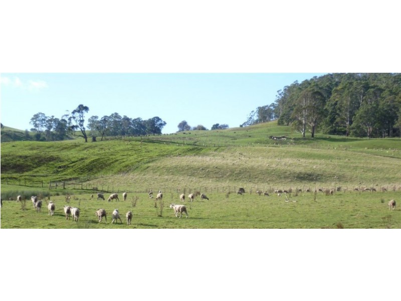 349 Claude Road, Sheffield TAS 7306