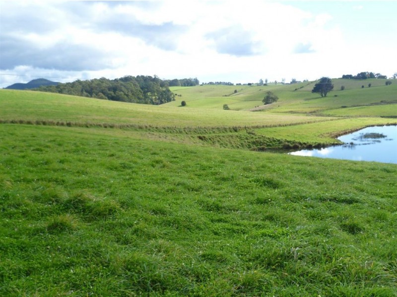 Devils Gate Road, Barrington Road, Barrington TAS 7306