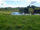 Devils Gate Road, Barrington Road, Barrington TAS 7306