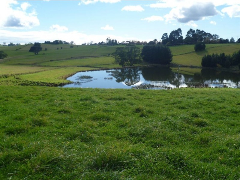 Devils Gate Road, Barrington Road, Barrington TAS 7306